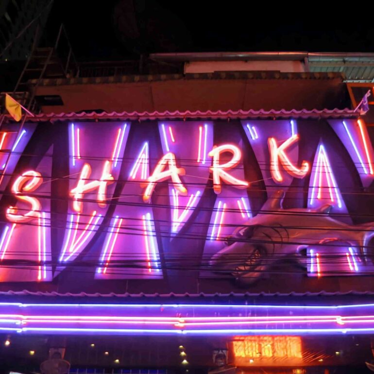 gogobar shark